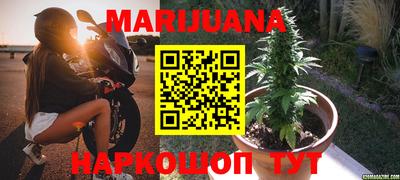 трава Моздок