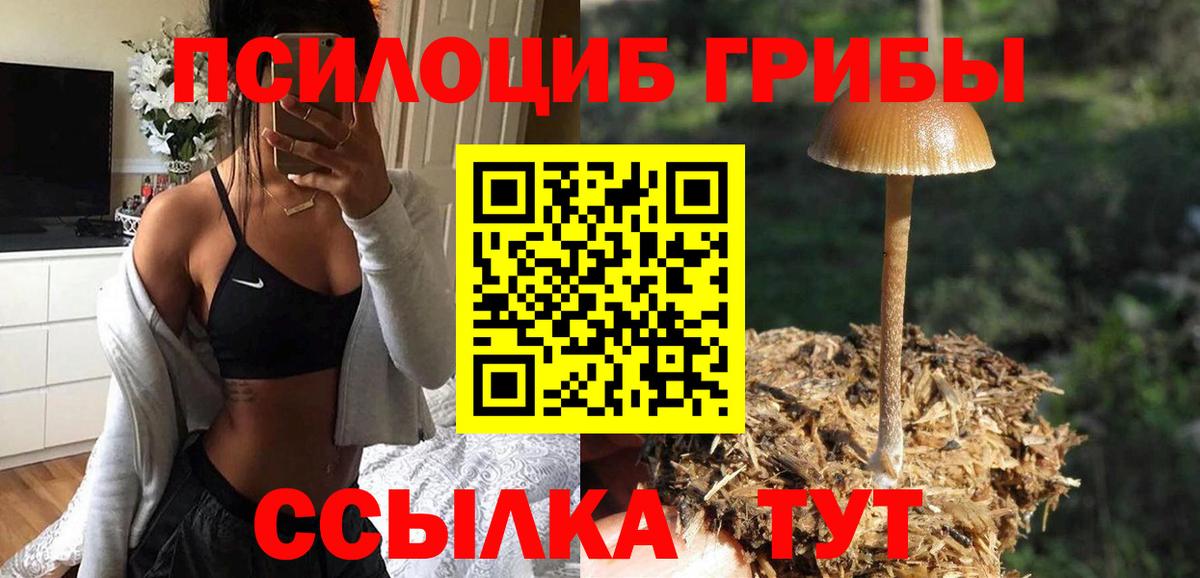 Псилоцибиновые грибы прущие грибы Усолье-Сибирское